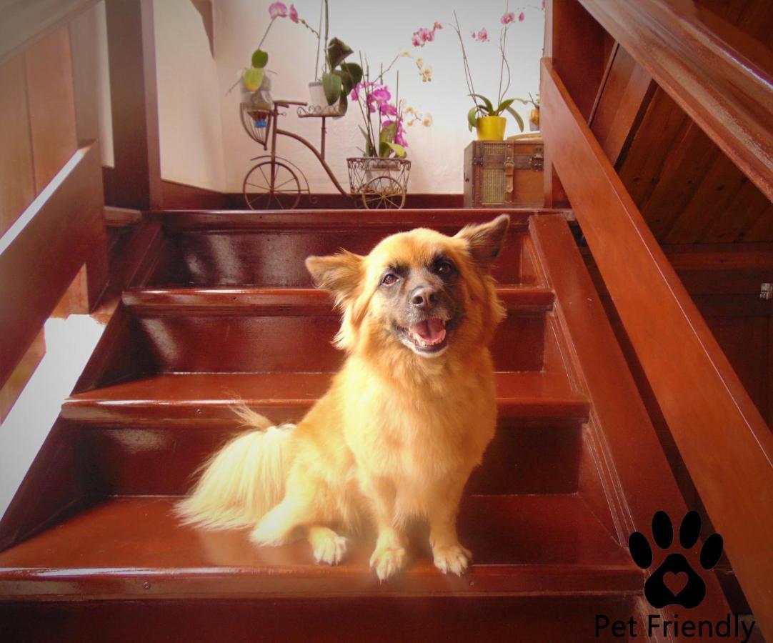 Casa Rural Los Helechos Agulo Ngoại thất bức ảnh